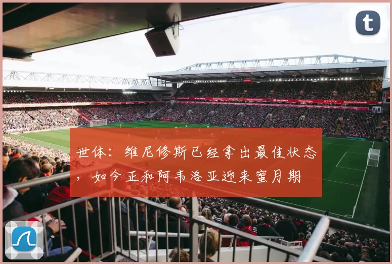 世体：维尼修斯已经拿出最佳状态，如今正和阿韦洛亚迎来蜜月期
