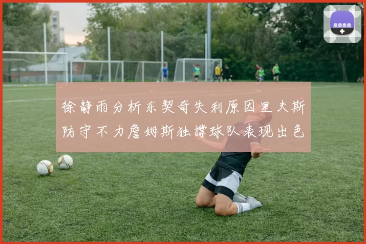 徐静雨分析东契奇失利原因里夫斯防守不力詹姆斯独撑球队表现出色