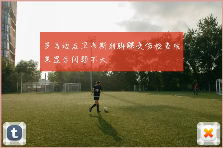 罗马边后卫韦斯利脚踝受伤检查结果显示问题不大